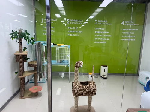 松山湖智能寵物用品暢銷全球，單品銷售額突破千萬元